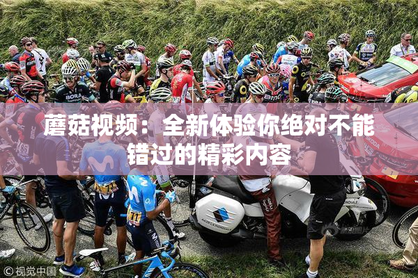 蘑菇视频：全新体验你绝对不能错过的精彩内容
