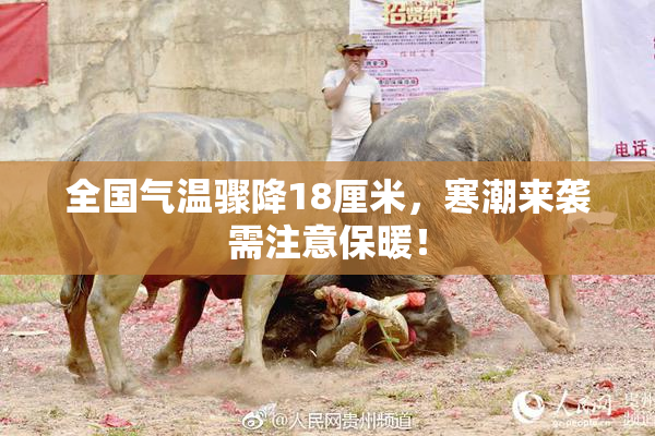 全国气温骤降18厘米，寒潮来袭需注意保暖！