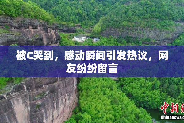 被C哭到，感动瞬间引发热议，网友纷纷留言