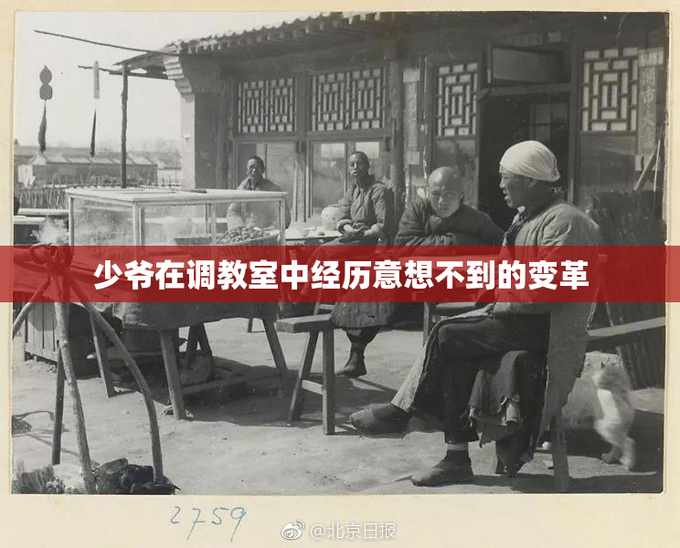 少爷在调教室中经历意想不到的变革