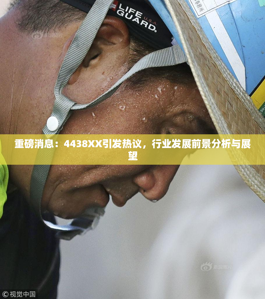 重磅消息：4438XX引发热议，行业发展前景分析与展望