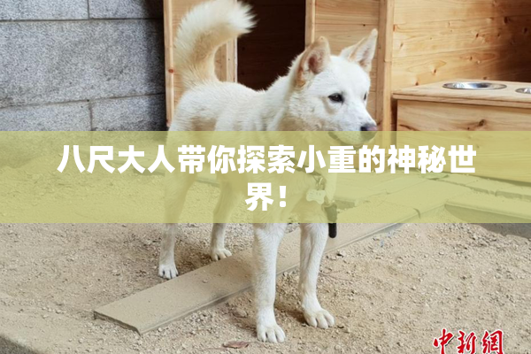 八尺大人带你探索小重的神秘世界！