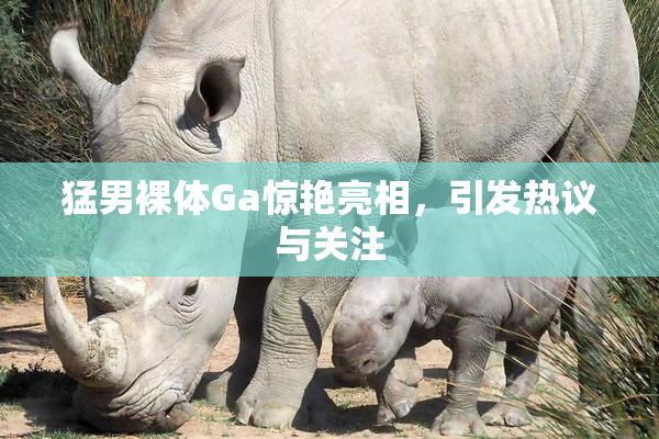 猛男裸体Ga惊艳亮相，引发热议与关注