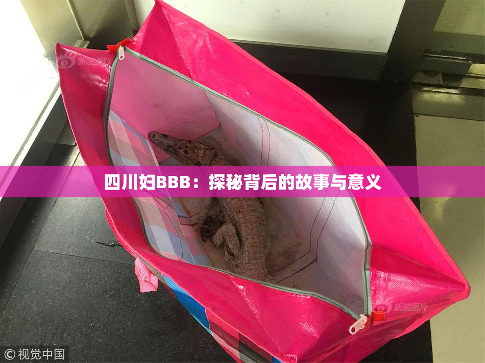 四川妇BBB：探秘背后的故事与意义