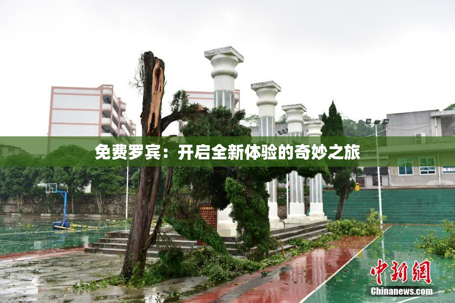 免费罗宾：开启全新体验的奇妙之旅