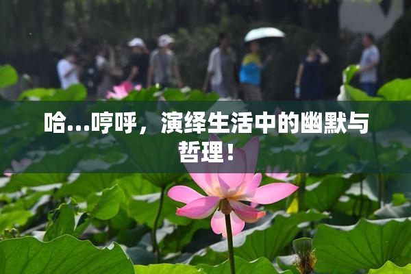 哈…哼呼，演绎生活中的幽默与哲理！
