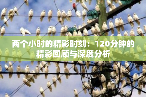 两个小时的精彩时刻：120分钟的精彩回顾与深度分析