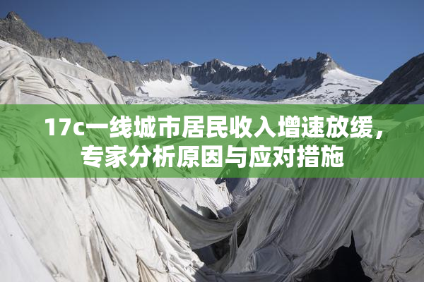 17c一线城市居民收入增速放缓，专家分析原因与应对措施