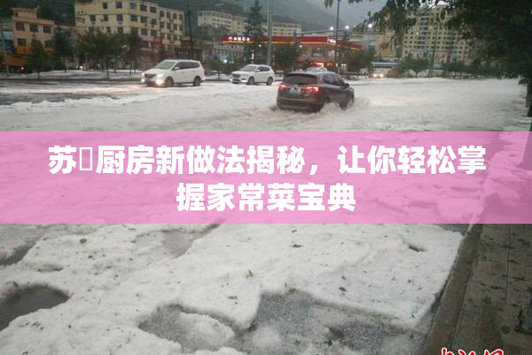 苏玥厨房新做法揭秘，让你轻松掌握家常菜宝典