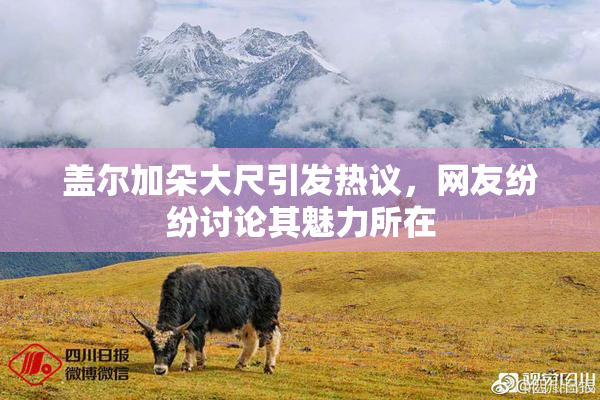 盖尔加朵大尺引发热议，网友纷纷讨论其魅力所在
