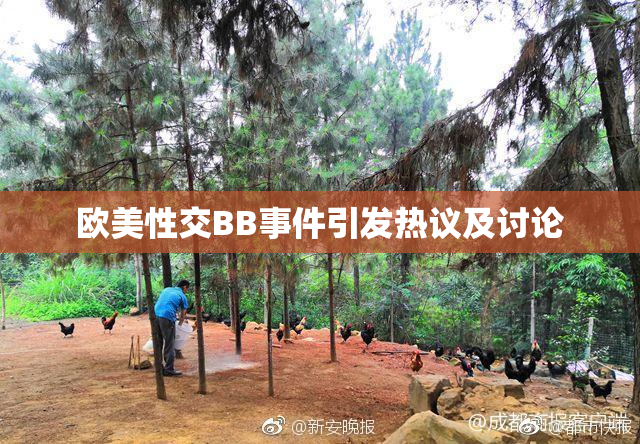 欧美性交BB事件引发热议及讨论