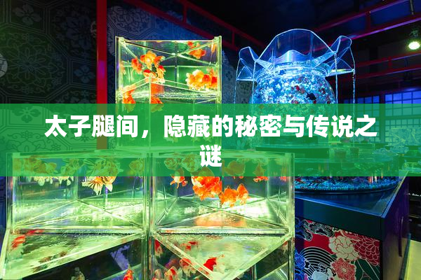 太子腿间，隐藏的秘密与传说之谜