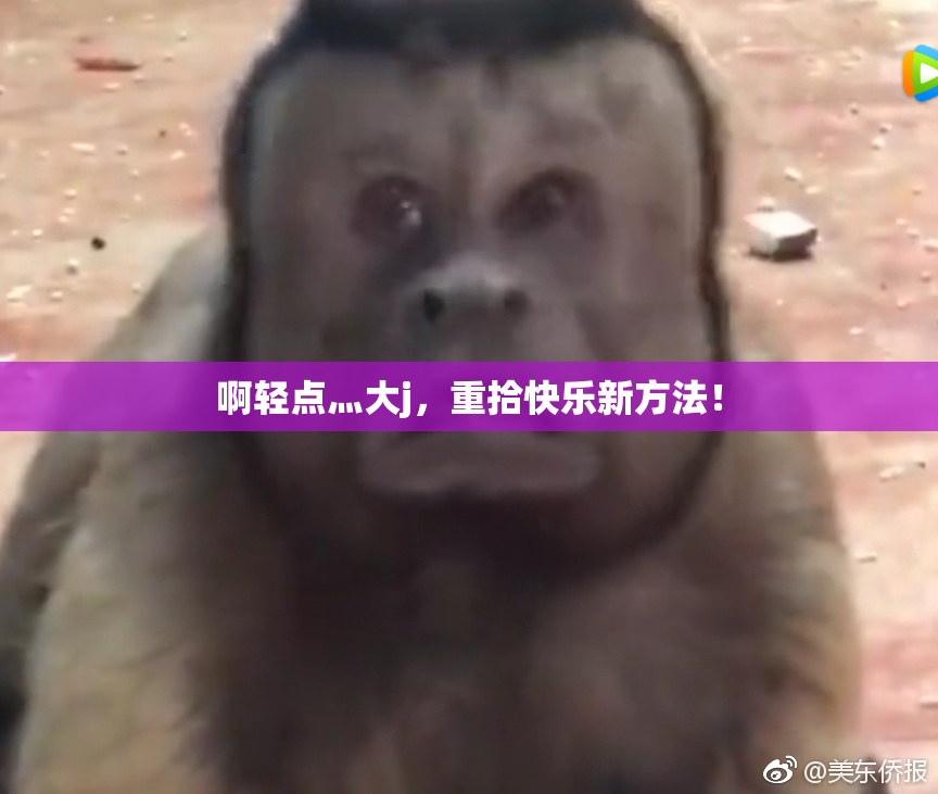 啊轻点灬大j，重拾快乐新方法！