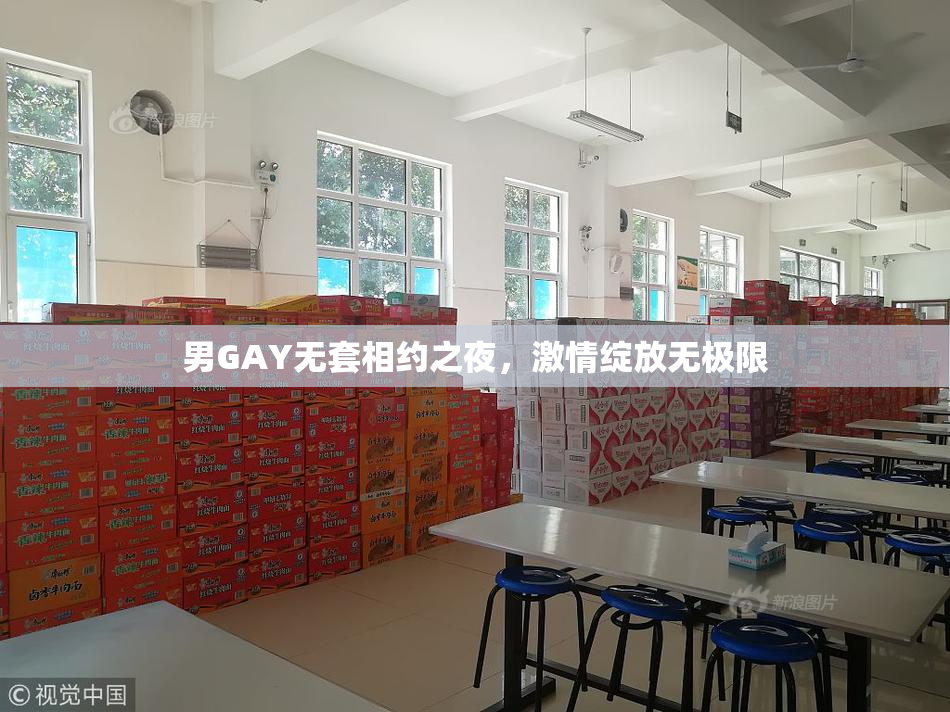 男GAY无套相约之夜，激情绽放无极限