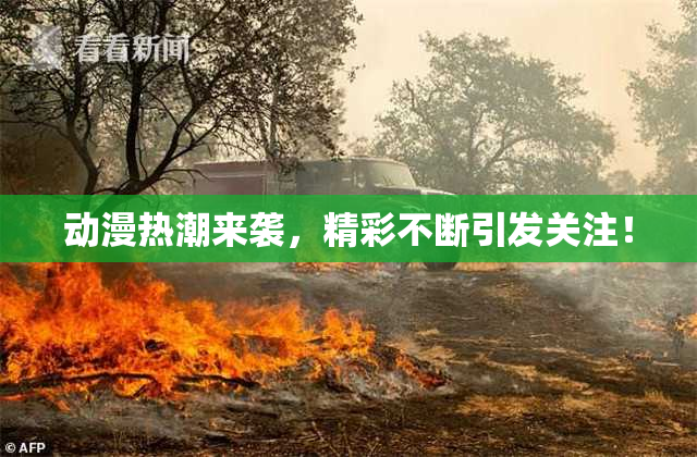 动漫热潮来袭，精彩不断引发关注！