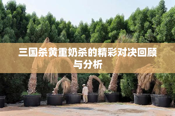 三国杀黄重奶杀的精彩对决回顾与分析