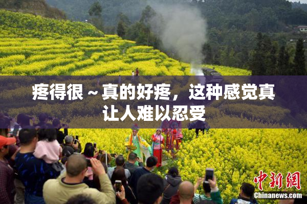 疼得很～真的好疼，这种感觉真让人难以忍受