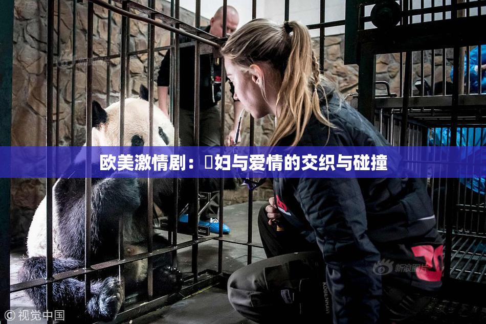 欧美激情剧：婬妇与爱情的交织与碰撞