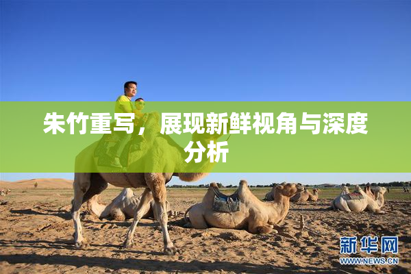 朱竹重写，展现新鲜视角与深度分析