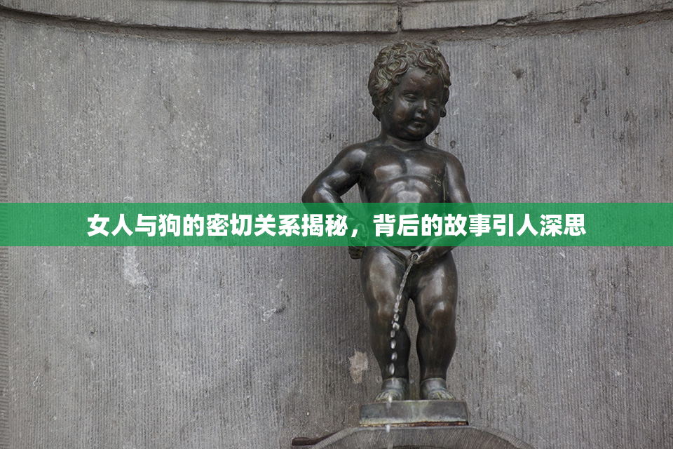 女人与狗的密切关系揭秘，背后的故事引人深思
