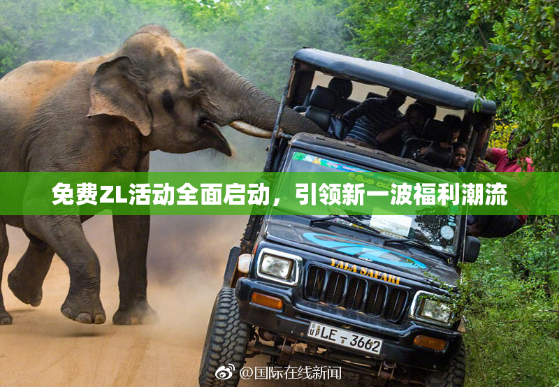 免费ZL活动全面启动，引领新一波福利潮流