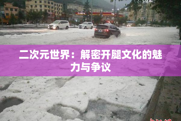 二次元世界：解密开腿文化的魅力与争议