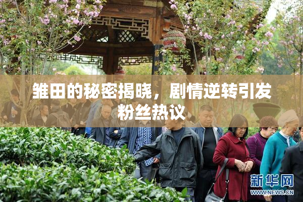 雏田的秘密揭晓，剧情逆转引发粉丝热议