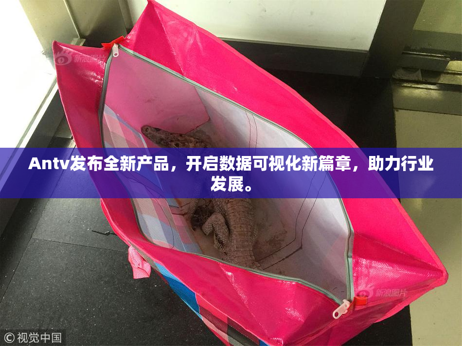 Antv发布全新产品，开启数据可视化新篇章，助力行业发展。