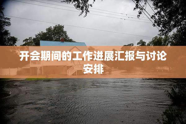 开会期间的工作进展汇报与讨论安排