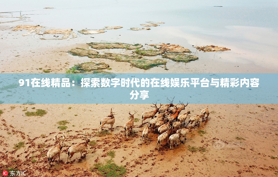91在线精品：探索数字时代的在线娱乐平台与精彩内容分享
