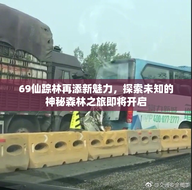 69仙踪林再添新魅力，探索未知的神秘森林之旅即将开启
