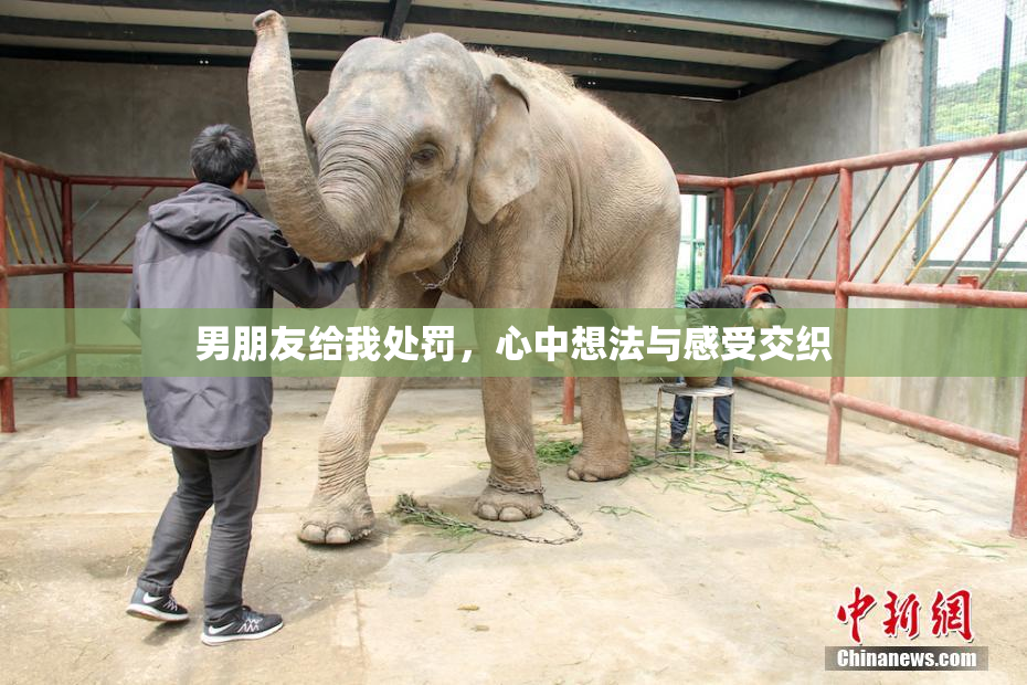 男朋友给我处罚，心中想法与感受交织