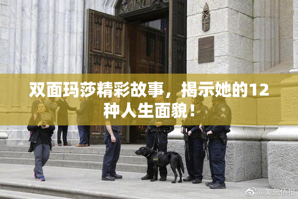 双面玛莎精彩故事，揭示她的12种人生面貌！