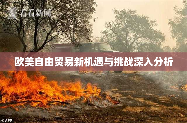 欧美自由贸易新机遇与挑战深入分析
