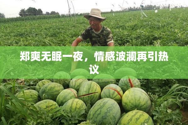 郑爽无眠一夜，情感波澜再引热议
