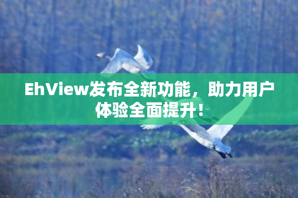 EhView发布全新功能，助力用户体验全面提升！