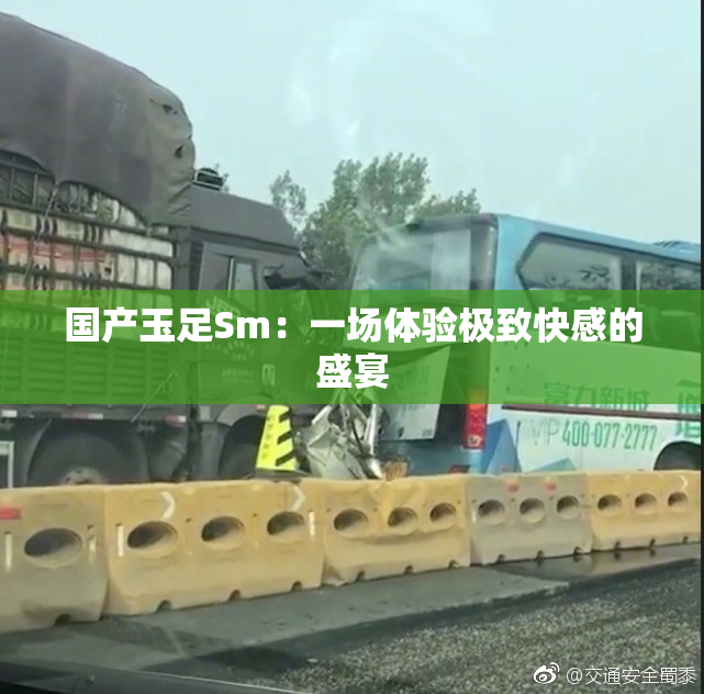 国产玉足Sm：一场体验极致快感的盛宴