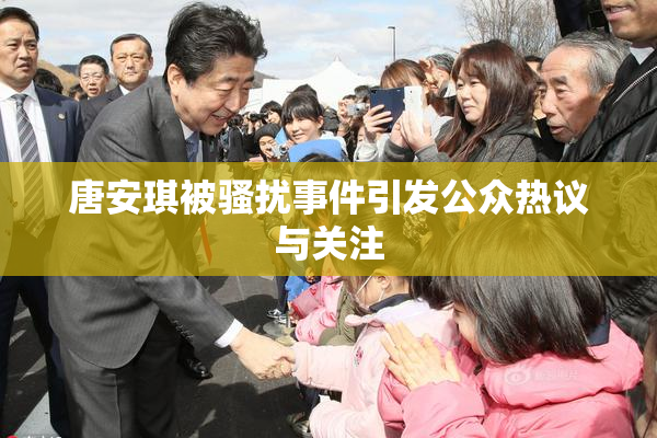 唐安琪被骚扰事件引发公众热议与关注