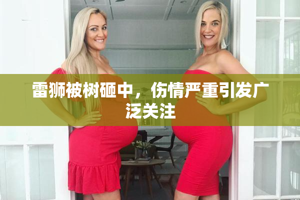 雷狮被树砸中，伤情严重引发广泛关注