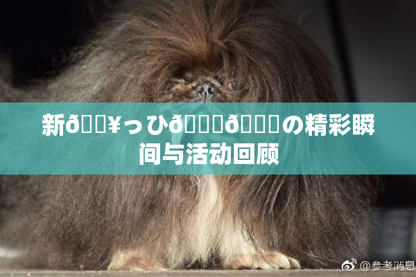 新🔥っひ🍑🍑の精彩瞬间与活动回顾
