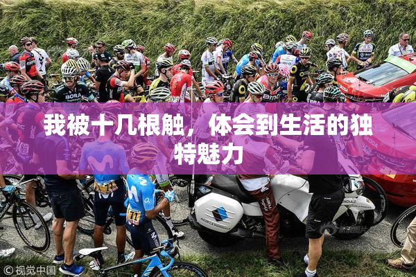 我被十几根触，体会到生活的独特魅力