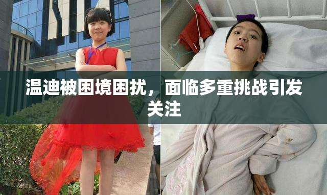 温迪被困境困扰，面临多重挑战引发关注
