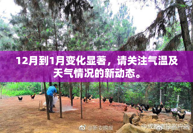 12月到1月变化显著，请关注气温及天气情况的新动态。