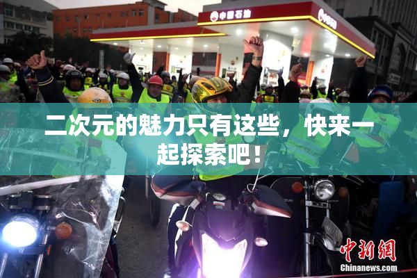 二次元的魅力只有这些，快来一起探索吧！
