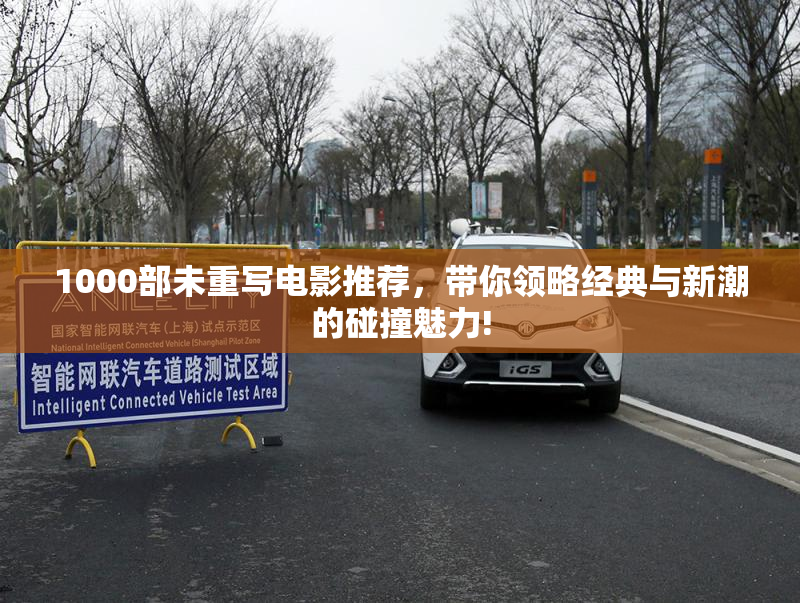 1000部未重写电影推荐，带你领略经典与新潮的碰撞魅力!