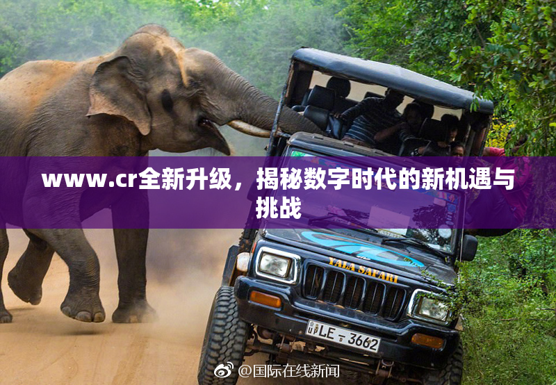 www.cr全新升级，揭秘数字时代的新机遇与挑战