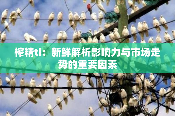 榨精ti：新鲜解析影响力与市场走势的重要因素
