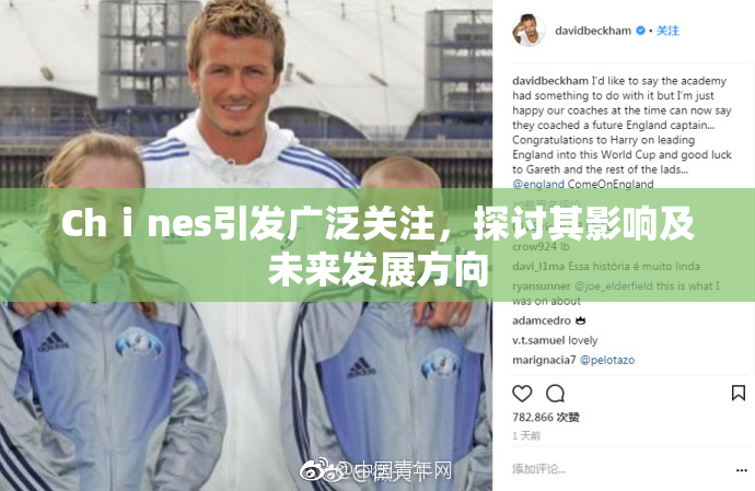 Chⅰnes引发广泛关注，探讨其影响及未来发展方向