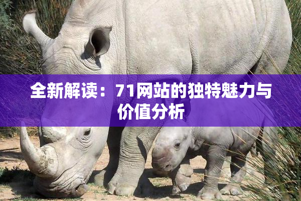全新解读：71网站的独特魅力与价值分析