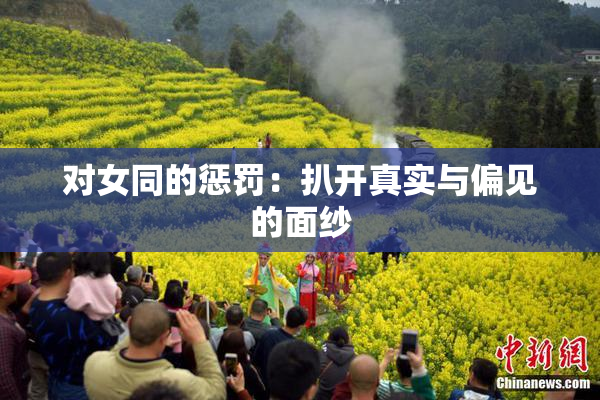 对女同的惩罚：扒开真实与偏见的面纱